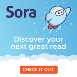 Sora Logo